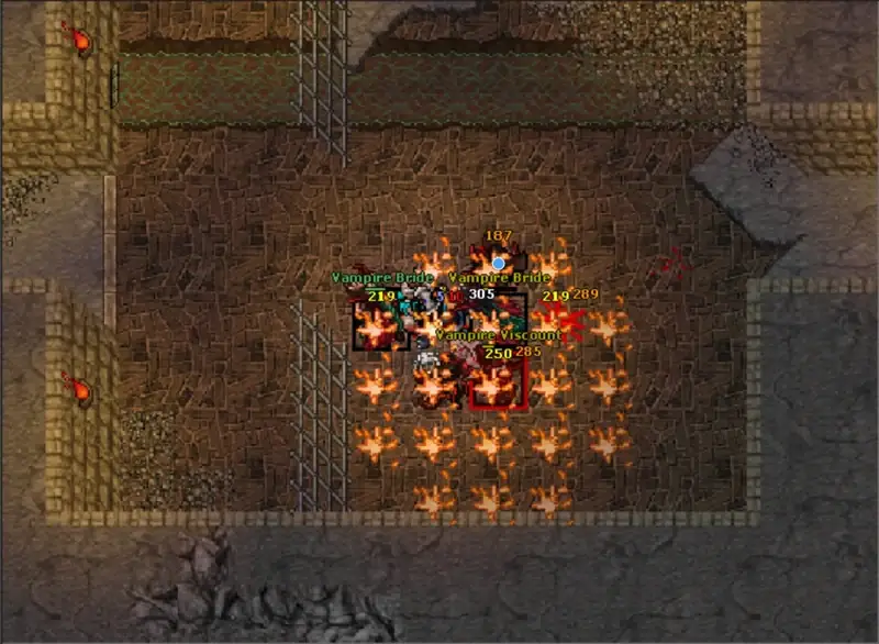 Tibia hunt with EchoBot running